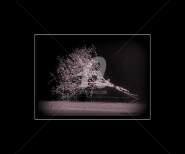 Photographie intitulée "Le bouquet" par Pascaline, Œuvre d'art originale