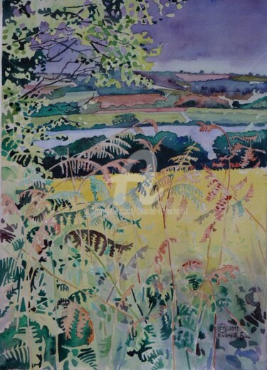 La rivière du Faou , à travers les fougères,