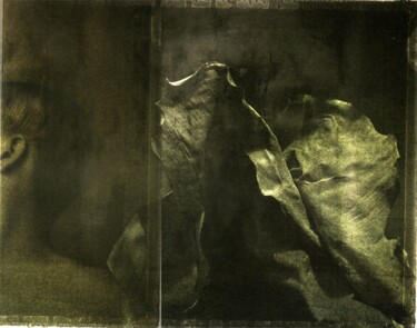 Photographie intitulée "ELEPHANT" par Philippe Berthier, Œuvre d'art originale, Photographie manipulée