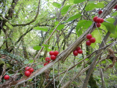 Perles rouges
