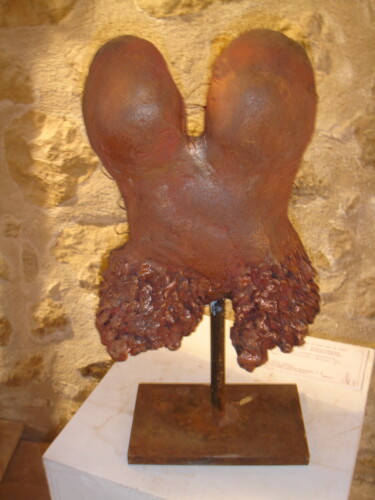 Escultura intitulada "Corset métal" por Françoise Chassonnerie, Obras de arte originais