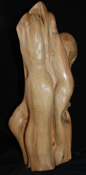 Sculpture intitulée "CONNEXION" par Gérard Didier, Œuvre d'art originale, Bois