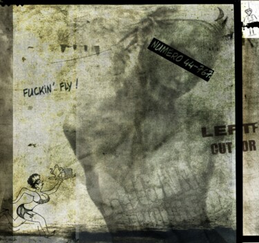 摄影 标题为“Fuckin Fly...” 由Philippe Berthier, 原创艺术品, 操纵摄影