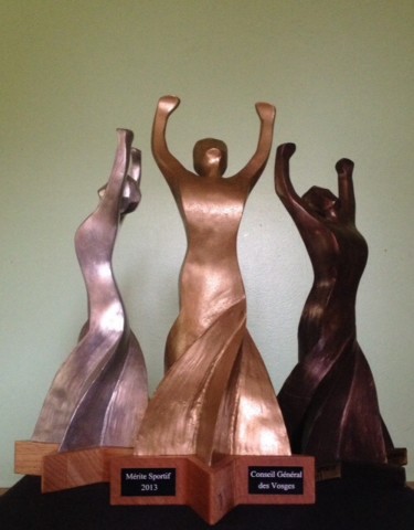 Trophées sportifs 2011 à 2013