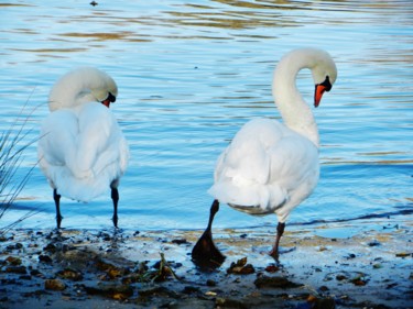 Duo blanc