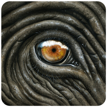 Peinture intitulée "Œil d'éléphant" par Florence Dellerie, Œuvre d'art originale, Aquarelle