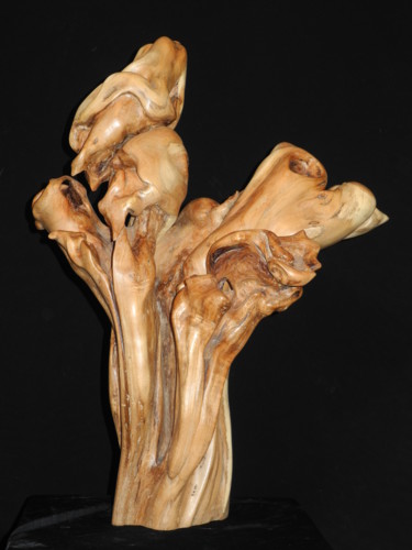 Sculptuur getiteld "Gerbe" door Gérard Didier, Origineel Kunstwerk, Hout