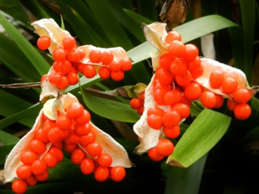 Eclosion