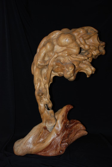Sculpture titled "FRAGILE ?" by Gérard Didier, Original Artwork, Wood