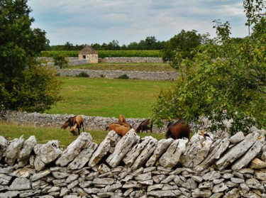 Paysage du Quercy