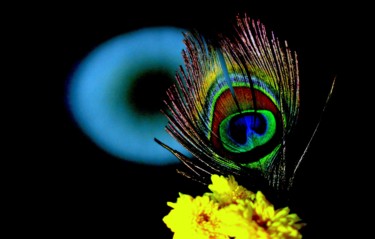 Fotografie mit dem Titel "Divine" von Goutam Chakraborty, Original-Kunstwerk
