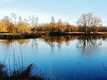 Reflets I