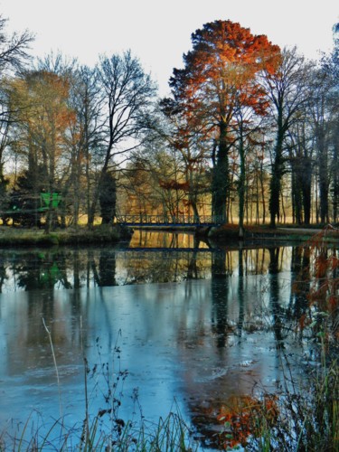 Reflets II
