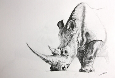 Tekening getiteld "Dessin rhinocéros" door Jean-Baptiste De Poret, Origineel Kunstwerk, Anders