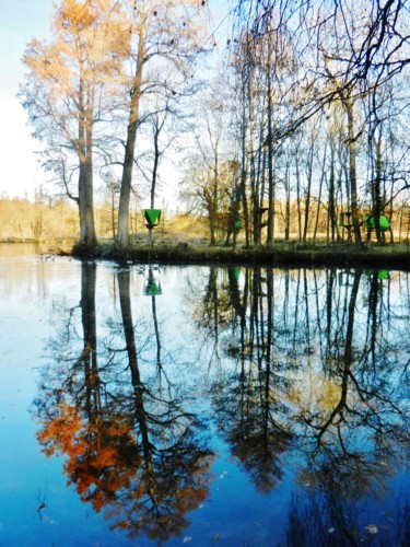 Reflets IV