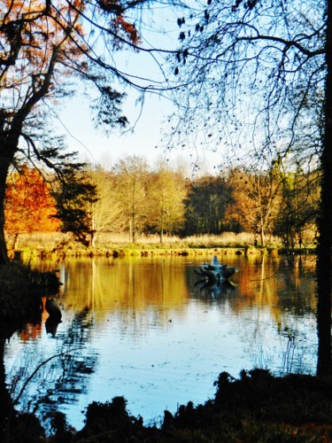 Reflets VI - Vue sur le lac
