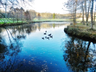 Reflets V
