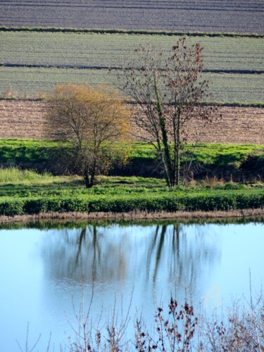 Photographie intitulée "Reflet de la nature" par Jean-Michel Liewig, Œuvre d'art originale