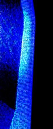 Fotografie mit dem Titel "in the night ...." von Sigrun Neumann (Sineu), Original-Kunstwerk