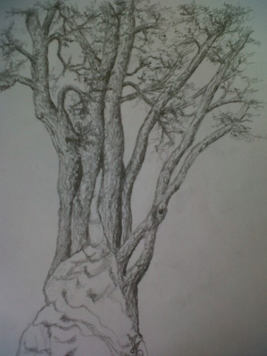 Dessin intitulée "C.A.L.-1" par Murielle Léger, Œuvre d'art originale, Autre