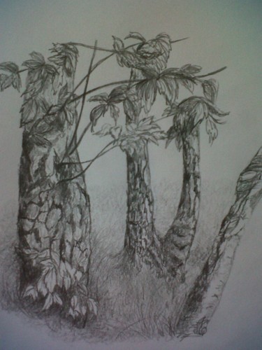 Dessin intitulée "C.A.L.-3" par Murielle Léger, Œuvre d'art originale, Autre