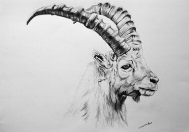 Dessin intitulée "Bouquetin" par Jean-Baptiste De Poret, Œuvre d'art originale, Autre