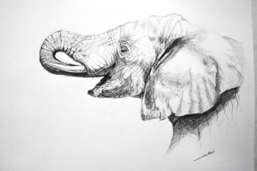 Σχέδιο με τίτλο "Elephant" από Jean-Baptiste De Poret, Αυθεντικά έργα τέχνης, Άλλος