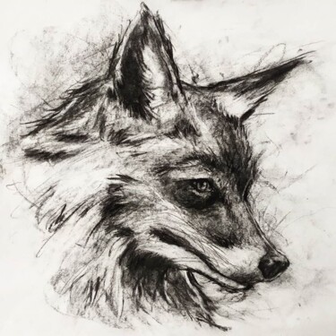 Portrait renard Zeichnungen mit dem Titel "Portrait renard" von Jean-Baptiste De Poret, Original-Kunstwerk, Kohle