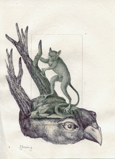 Le Tarsier