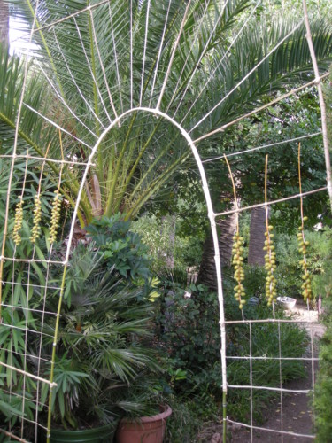 Sculpture titled "Such a Lovely Place" by June Stapleton, Original Artwork, Mixed Media