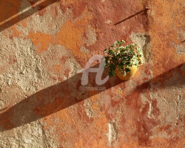 Corsica 5 - Ajaccio