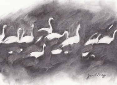 Trumpeter Swans Skagit Valley in Charcoal