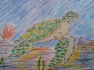 Malerei mit dem Titel "Sea Turtle Turbia" von Calina-Sophie Carstens, Original-Kunstwerk