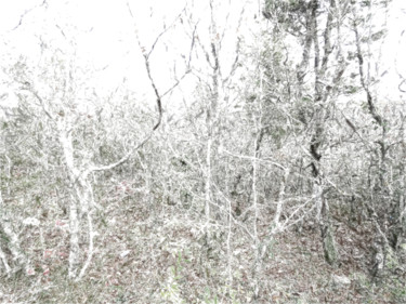 Painting titled "1-110 Manifestation…" by Grigori Grabovoi, Original Artwork, Oil