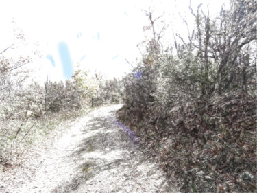 Painting titled "1-112 Manifestation…" by Grigori Grabovoi, Original Artwork, Oil