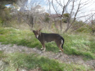 Painting titled "2-80 Manifestations…" by Grigori Grabovoi, Original Artwork, Oil