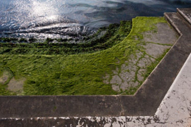 Photographie intitulée "down to the waterli…" par Jean-Marc Angelini, Œuvre d'art originale