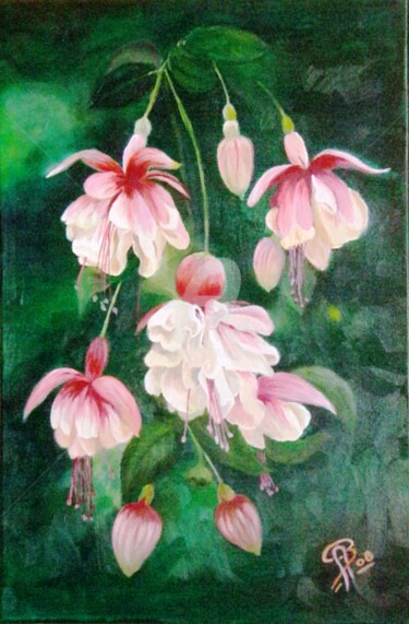 Fuschias