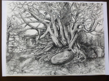 Dessin intitulée "Figuier corse près…" par Pierre Feyeux, Œuvre d'art originale, Autre