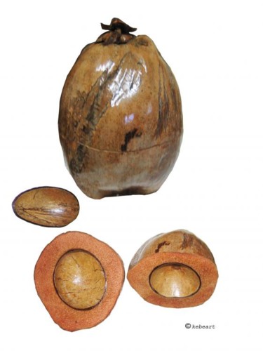 Design titled "Glaciére en coco na…" by Kebe, Original Artwork