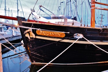 Le Brigantin - Collection Flâneries marines 16