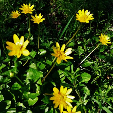 Spring comes again 2