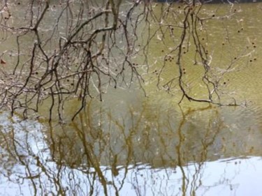 Fotografie mit dem Titel "Berlin : Lietzensee…" von Sigrun Neumann (Sineu), Original-Kunstwerk