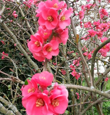 spring comes again 4