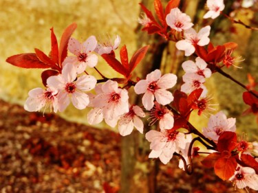 Printemps 1