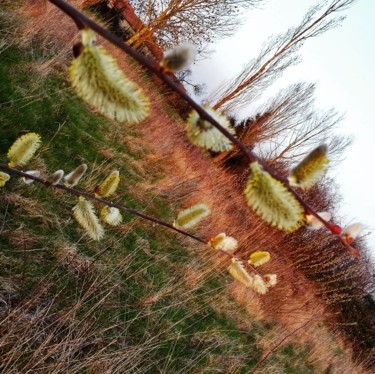 Spring comes again 8