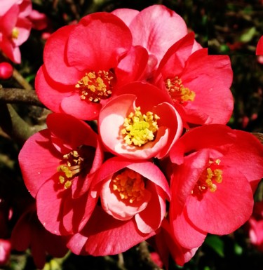 Spring comes again 10