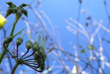 제목이 "Floral Pics XLVI"인 사진 Ulli Heupel로, 원작