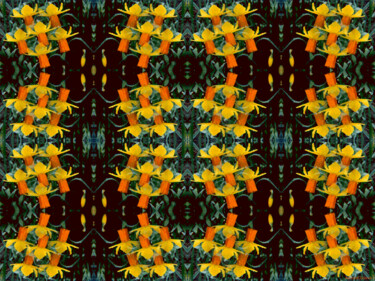 Kaleidoscopic Garden 14