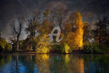 Bois de Boulogne Photographie intitulée "Bois de Boulogne" par Philippe Bousseau, Œuvre d'art originale, Photographie numérique
